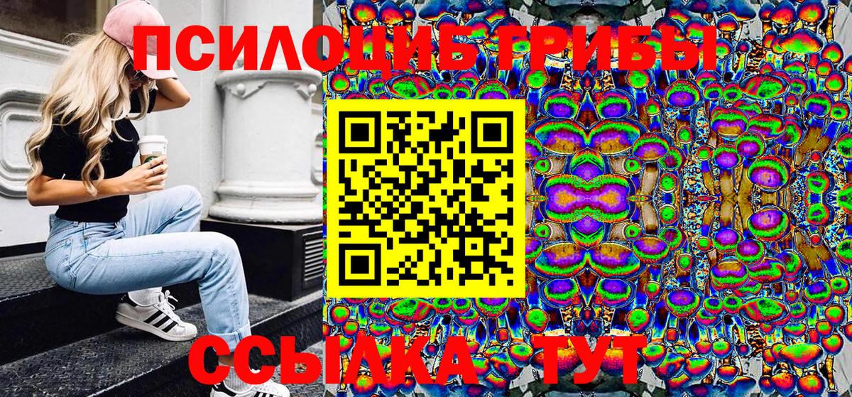 Михайловка  Галлюциногенные грибы мицелий  Галлюциногенные грибы Psilocybine cubensis  Вход с VPN 
