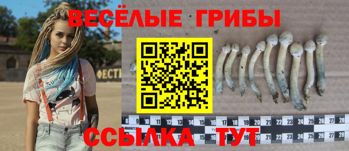 Псилоцибиновые грибы прущие грибы Михайловка