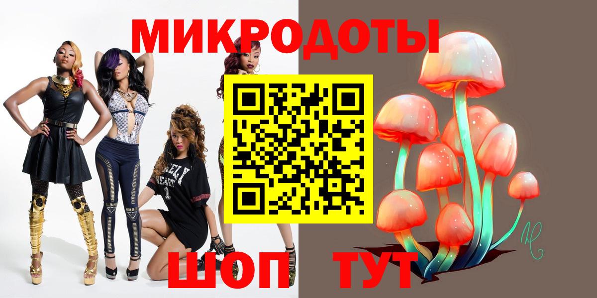 A PVP Михайловка