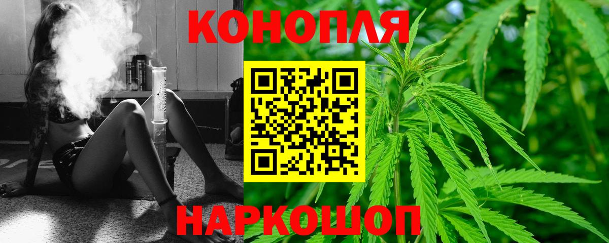 Бошки Шишки ГИДРОПОН  Каннабис OG Kush  Вход с VPN  Михайловка  Конопля Bruce Banner 